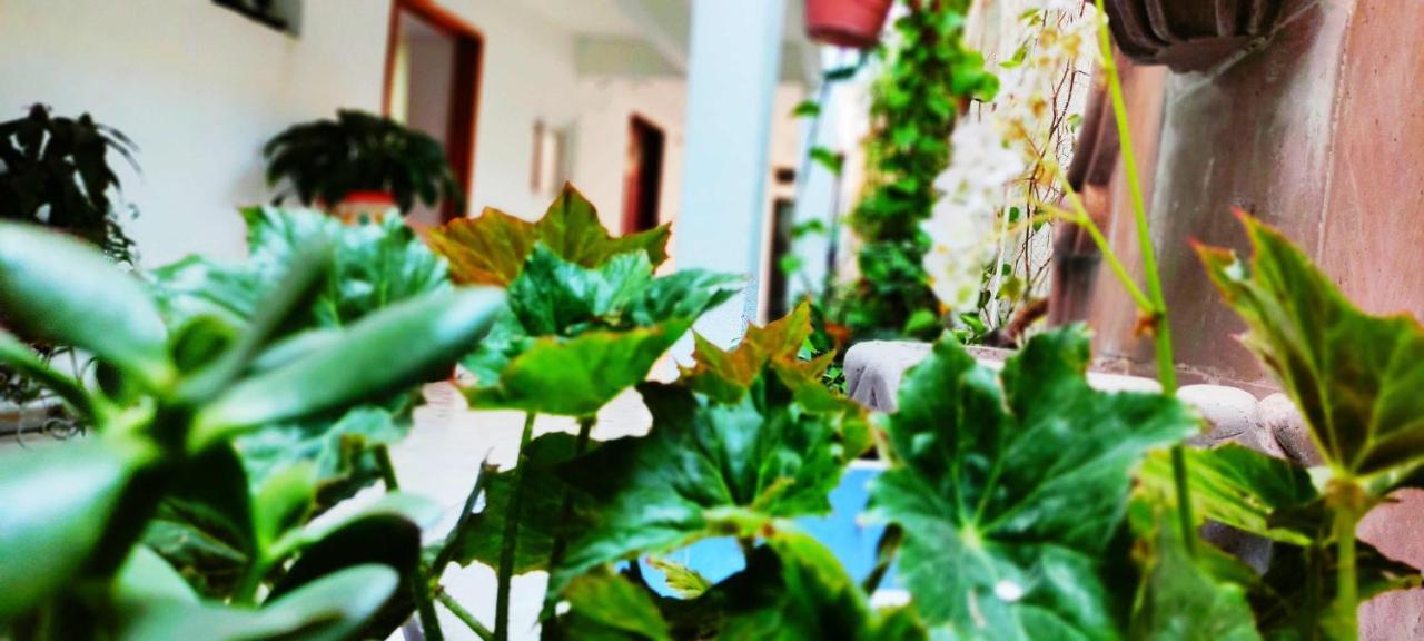 Hotel Posada Laura ซาน ฮวน เดล ริโอ ภายนอก รูปภาพ