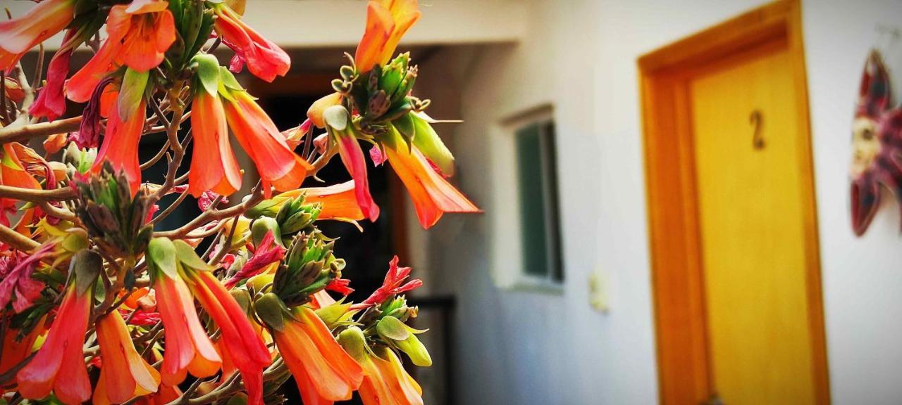 Hotel Posada Laura ซาน ฮวน เดล ริโอ ภายนอก รูปภาพ